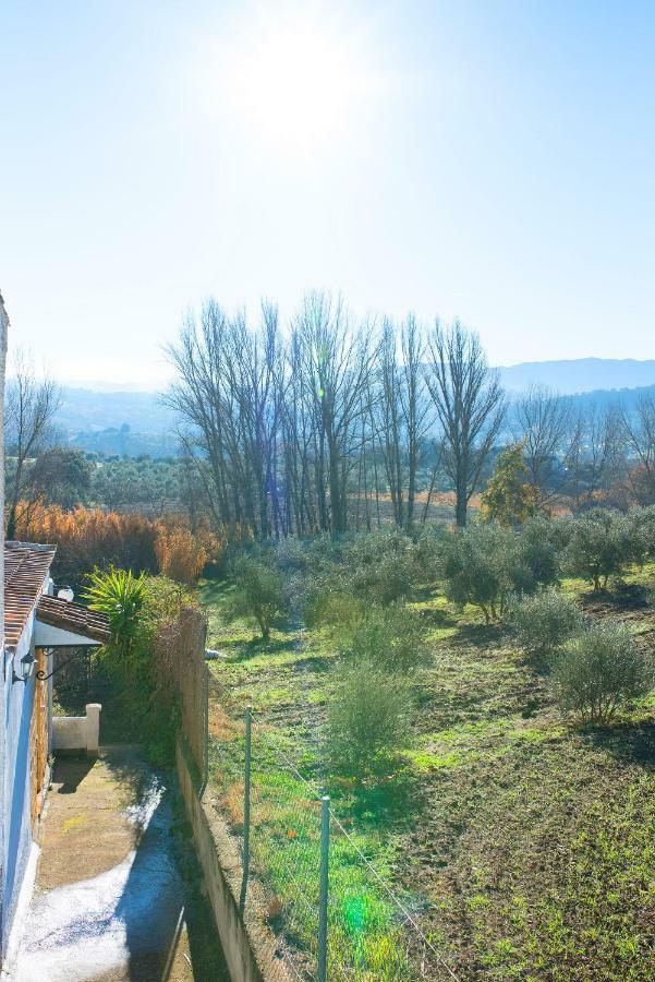 Mi Casita ξενώνας Ρόντα Εξωτερικό φωτογραφία